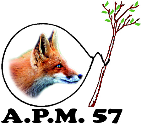 Logo APM57