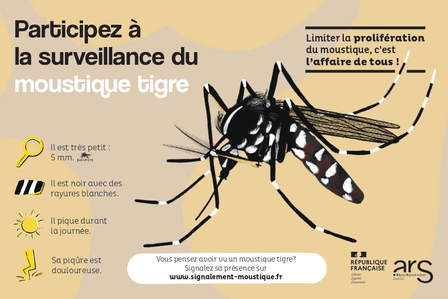 Carte Info-MoustiqueTigre-ARS Grand Est_page-0001