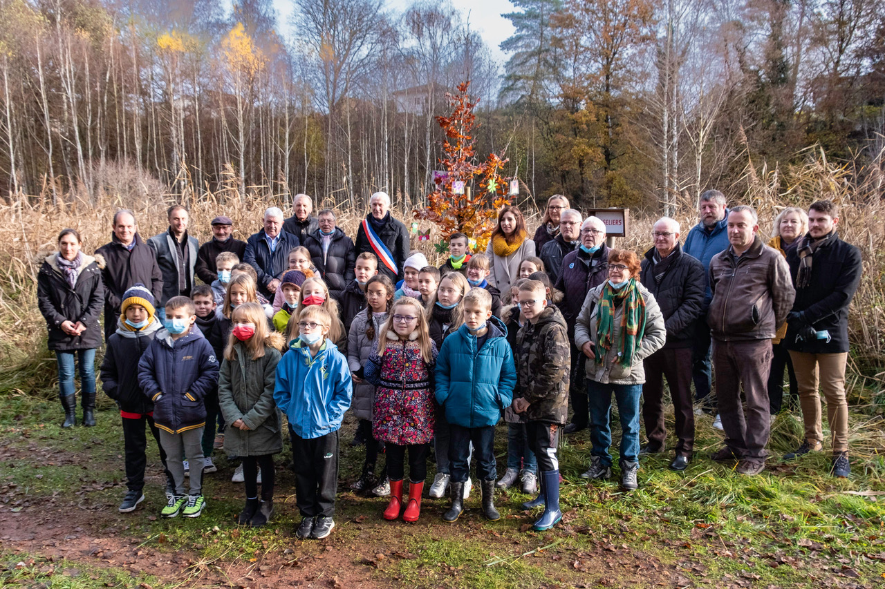 gecnal fete arbre 5