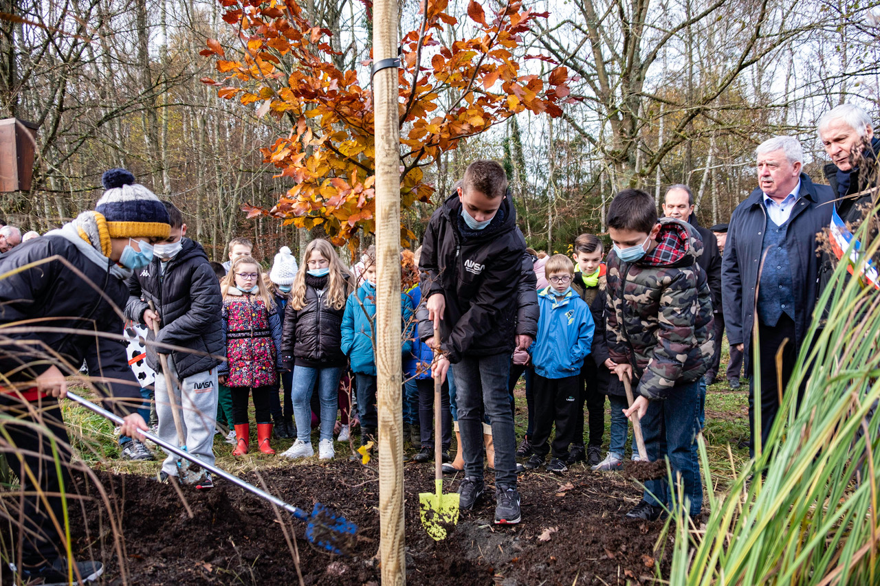 gecnal fete arbre