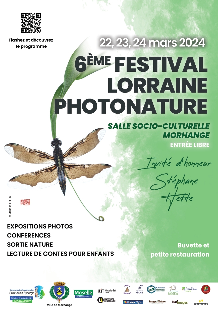 PHOTONATURE  Affiche